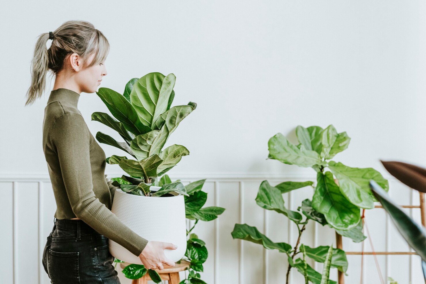 Toimisto vihersuunnittelu